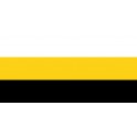 Flag of the state of Perak